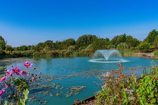 cafe-pond